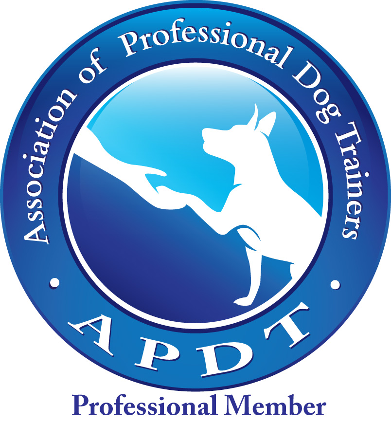 APDT Professional Member